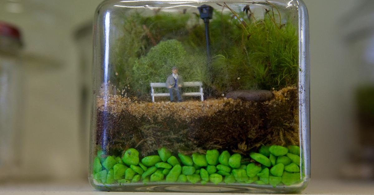 Niche Market Terrariums WNYC